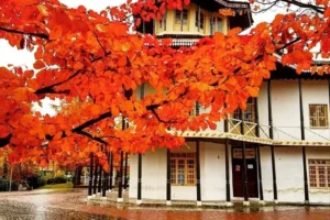 مکانات رفاهی و تفریحی اطراف عمارت